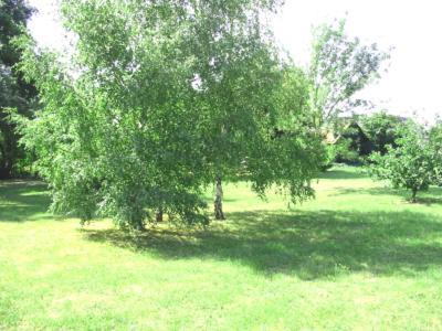 La Maison Tournesol - 3 Bedroom House With Large Garden Near Saumur Saint-Martin-de-la-Place エクステリア 写真
