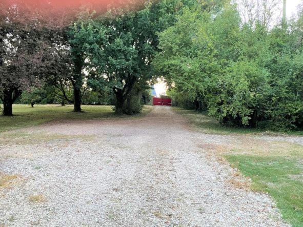 La Maison Tournesol - 3 Bedroom House With Large Garden Near Saumur Saint-Martin-de-la-Place エクステリア 写真