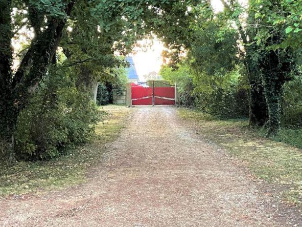 La Maison Tournesol - 3 Bedroom House With Large Garden Near Saumur Saint-Martin-de-la-Place エクステリア 写真